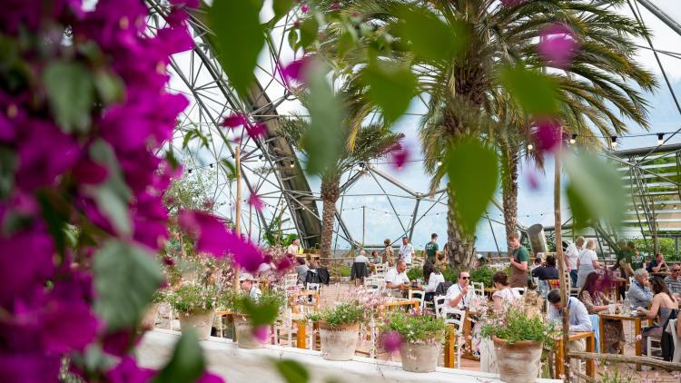 People having dinner in the Med Terrace Restaurant