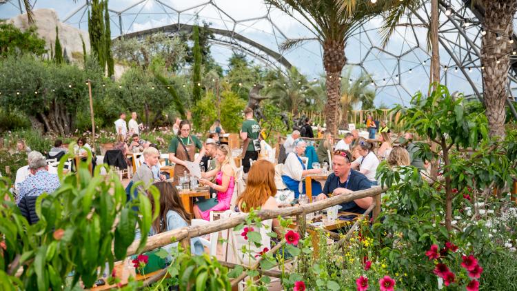 People having dinner in the Mediterranean Biome